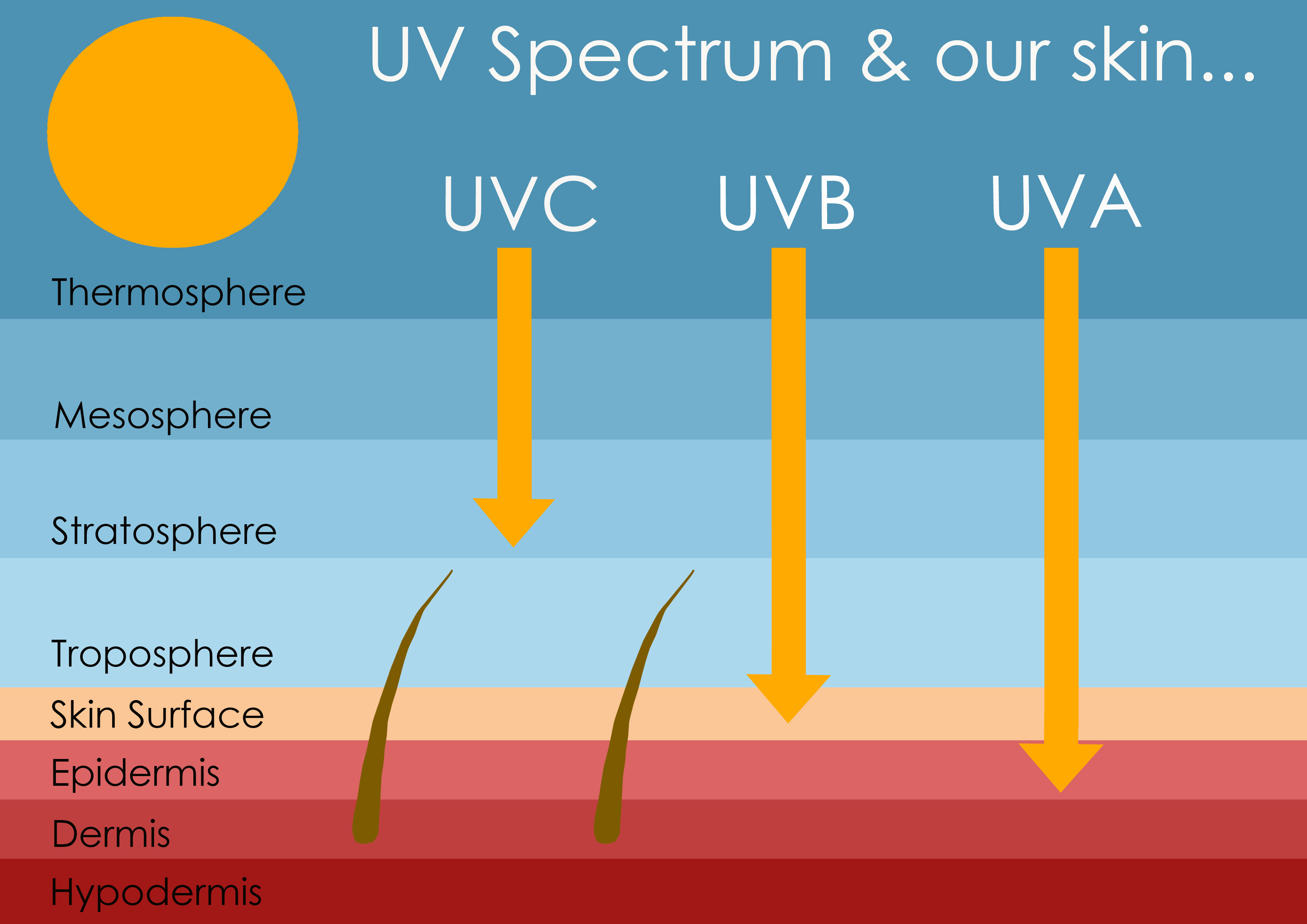 Uv Light Shade At Maurice Cook Blog