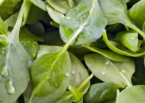 spinach for antioxidants